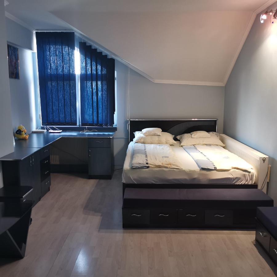 Vila Angela Felix Hotell Sînmartin Exteriör bild