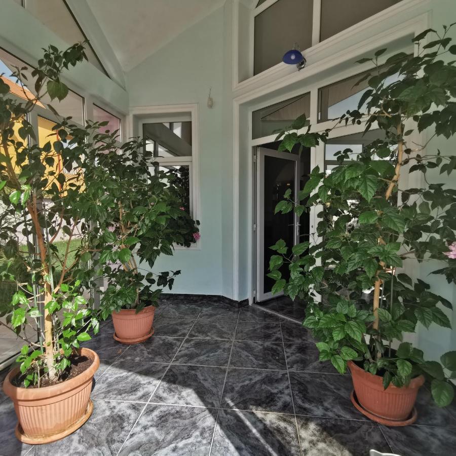 Vila Angela Felix Hotell Sînmartin Exteriör bild