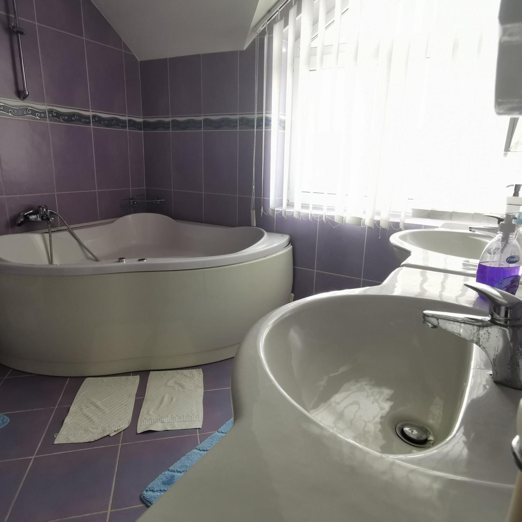 Vila Angela Felix Hotell Sînmartin Exteriör bild