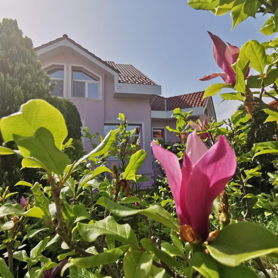 Vila Angela Felix Hotell Sînmartin Exteriör bild